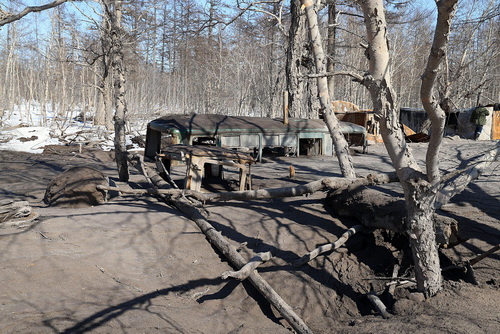 Лагерь лесорубов (27.04.23)